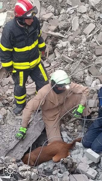 Людей, яки могли опинитися під завалами, шукають рятувальники з кінологами.